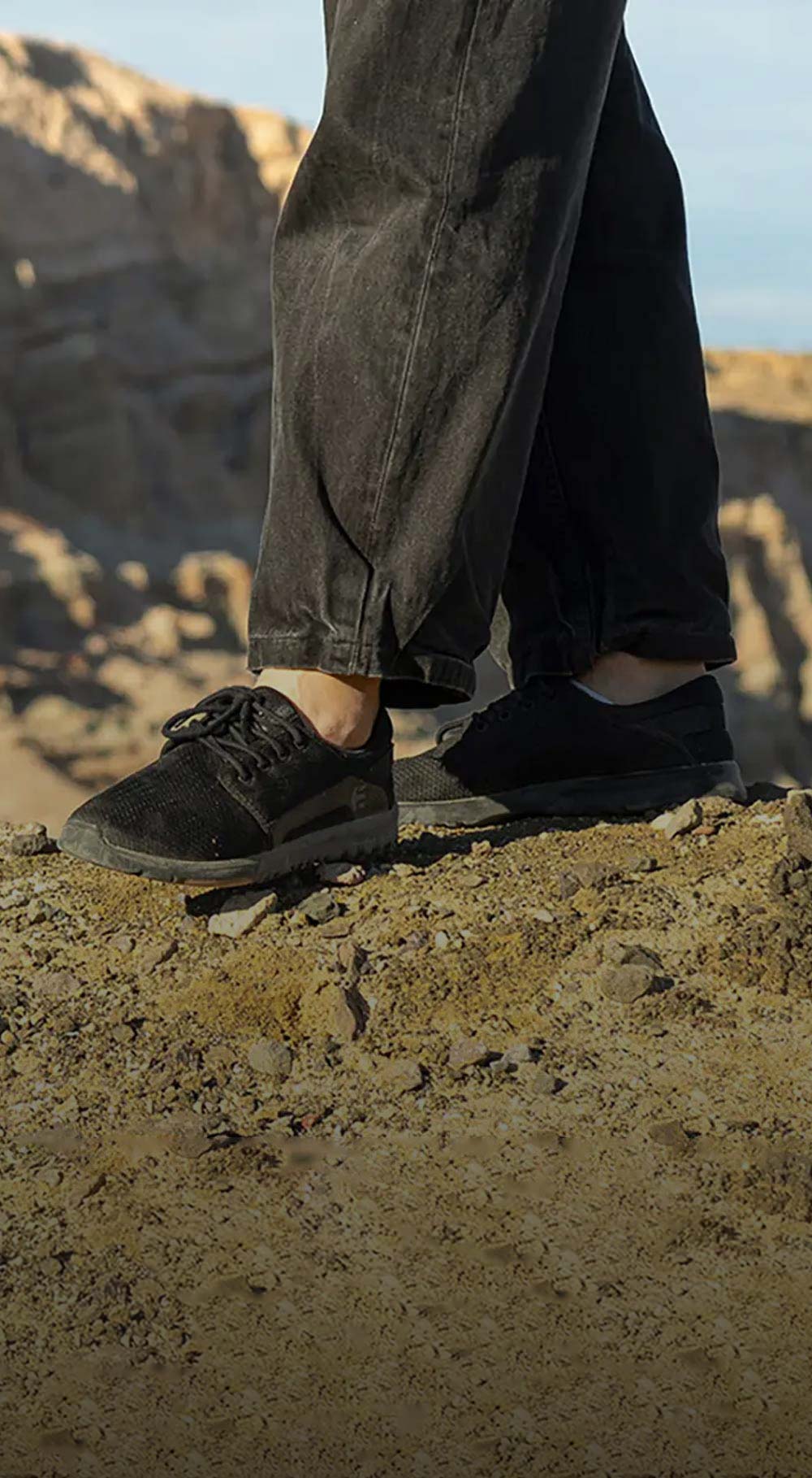 Men's Etnies skate shoes